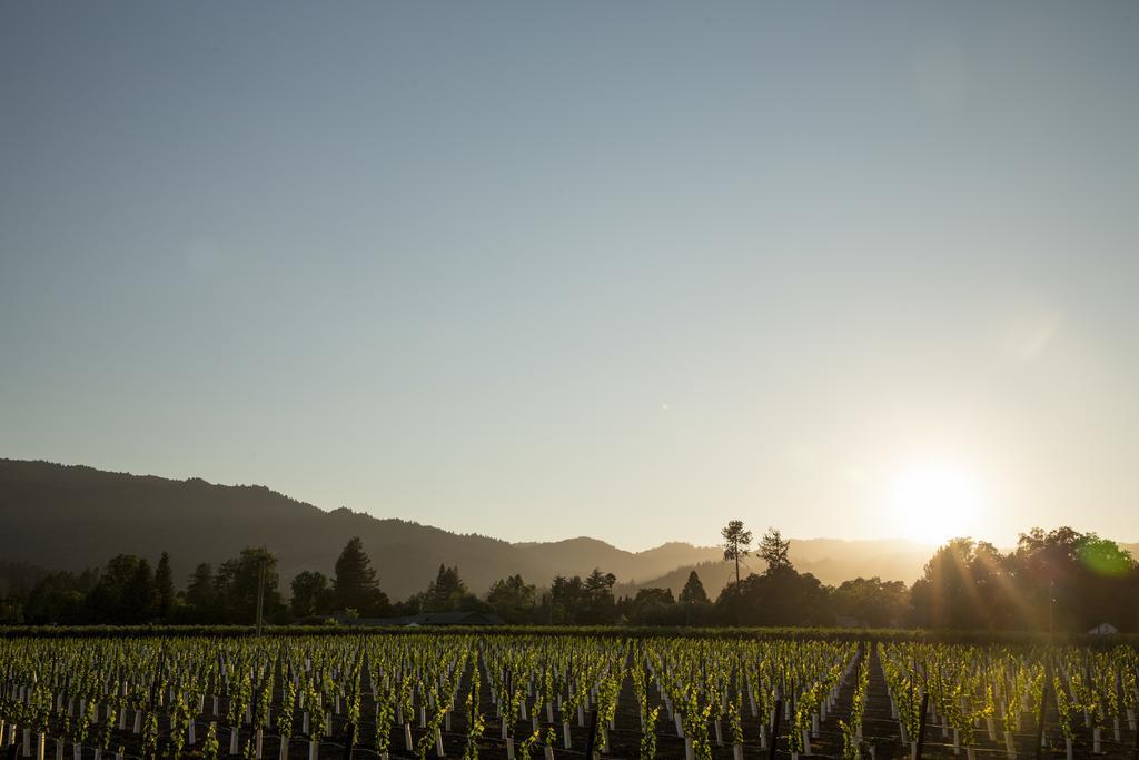 Harvest Inn St. Helena Ngoại thất bức ảnh
