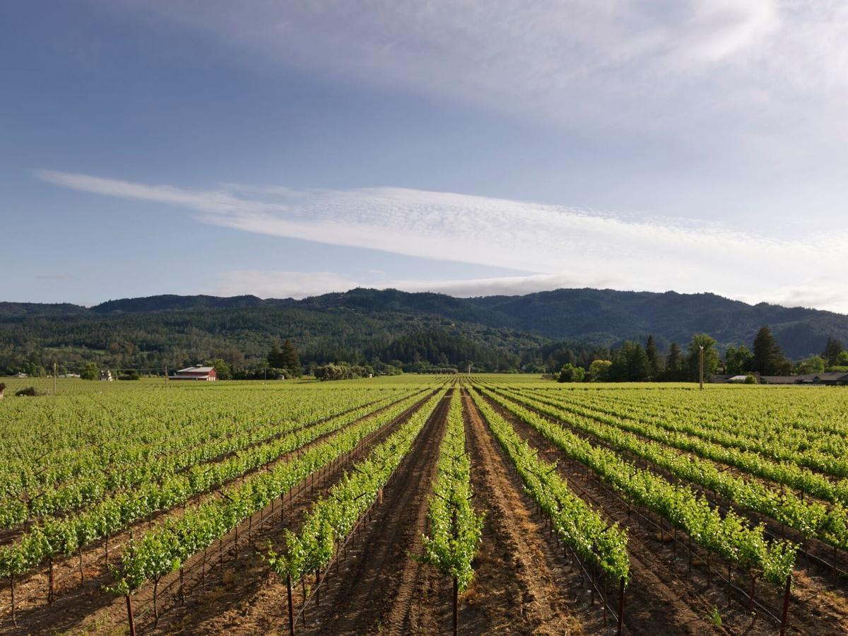 Harvest Inn St. Helena Ngoại thất bức ảnh