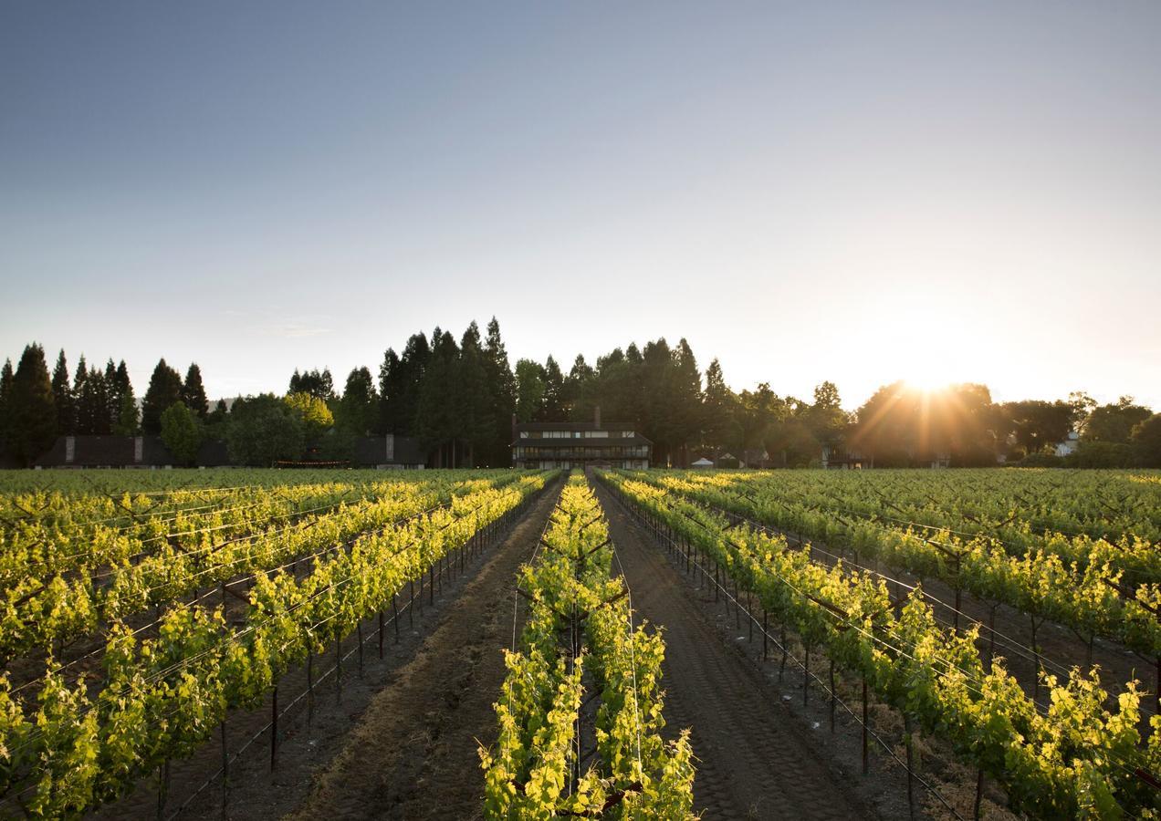 Harvest Inn St. Helena Ngoại thất bức ảnh