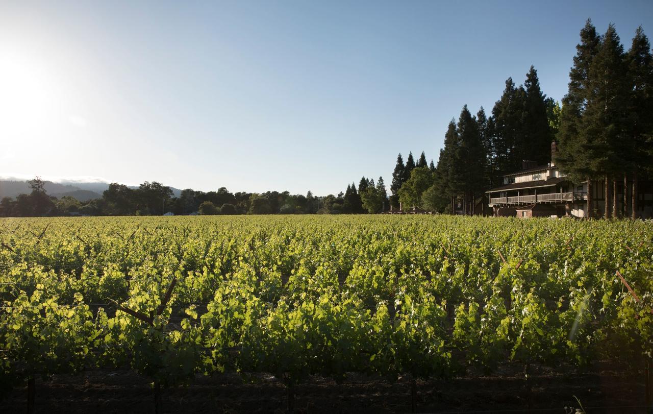Harvest Inn St. Helena Ngoại thất bức ảnh