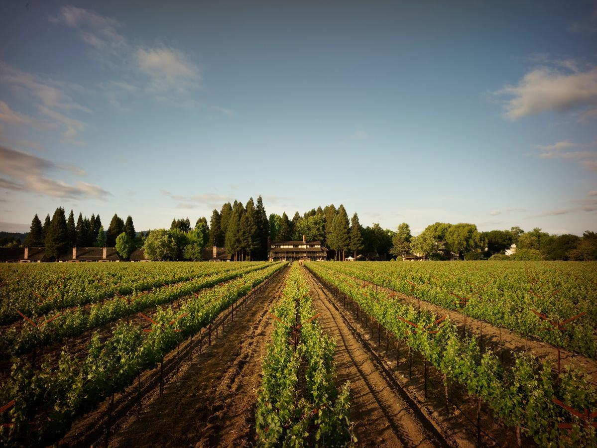 Harvest Inn St. Helena Ngoại thất bức ảnh